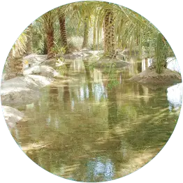 1394 هـ