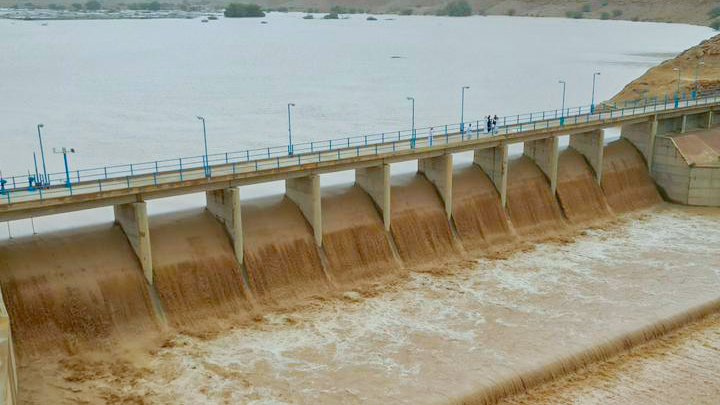 صورة الخبر