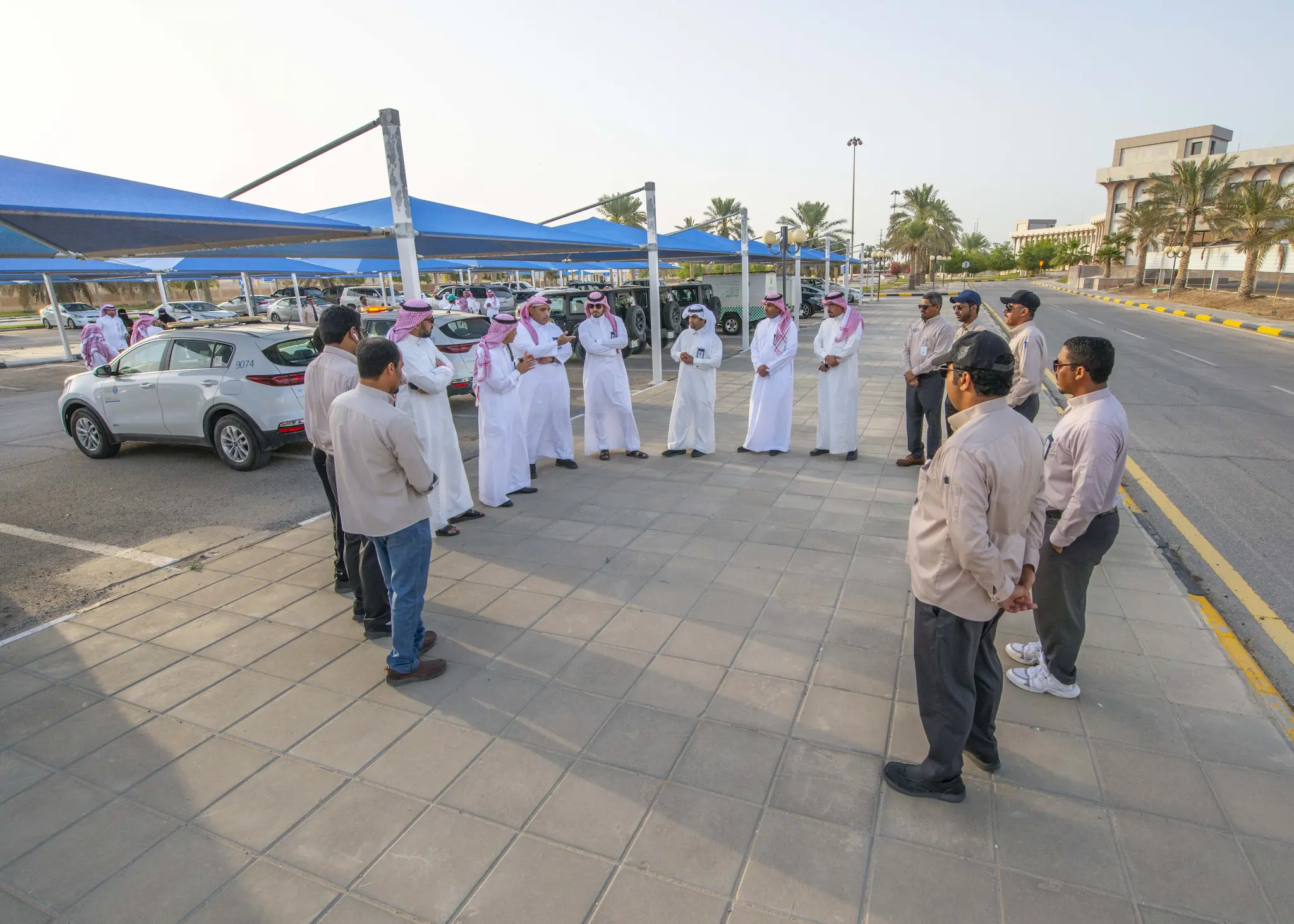 صورة الخبر